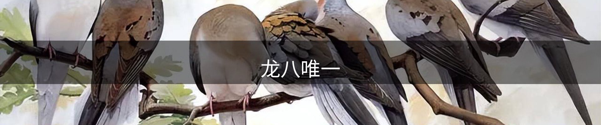龙八(头号玩家)唯一官方网站